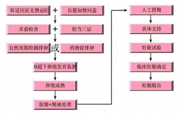 人工受精及试管婴儿流程及费用——看完你就能明白