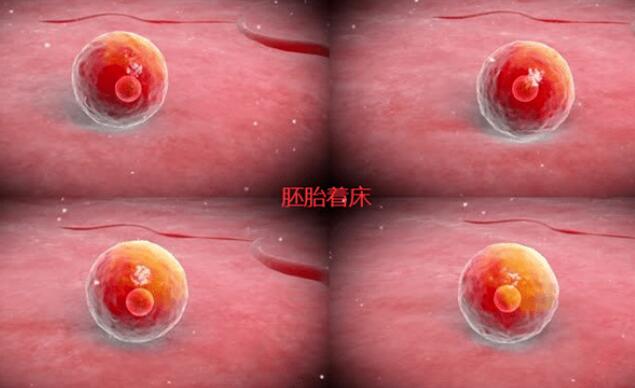 第三代试管婴儿胚胎着床有分泌物和出血就代表失败了吗