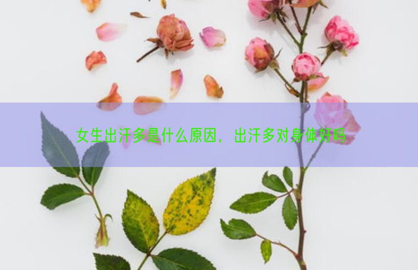 女生出汗多是什么原因，出汗多对身体好吗